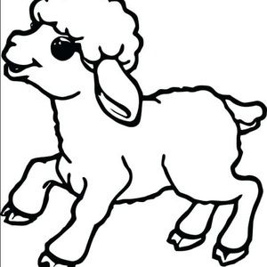 Meet your Posher, Angelina